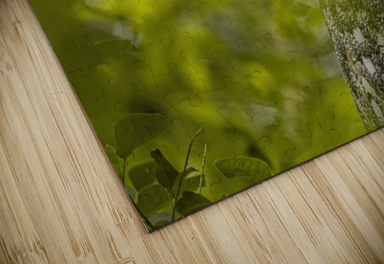 GHO 5 Ilana Vargulich Puzzle