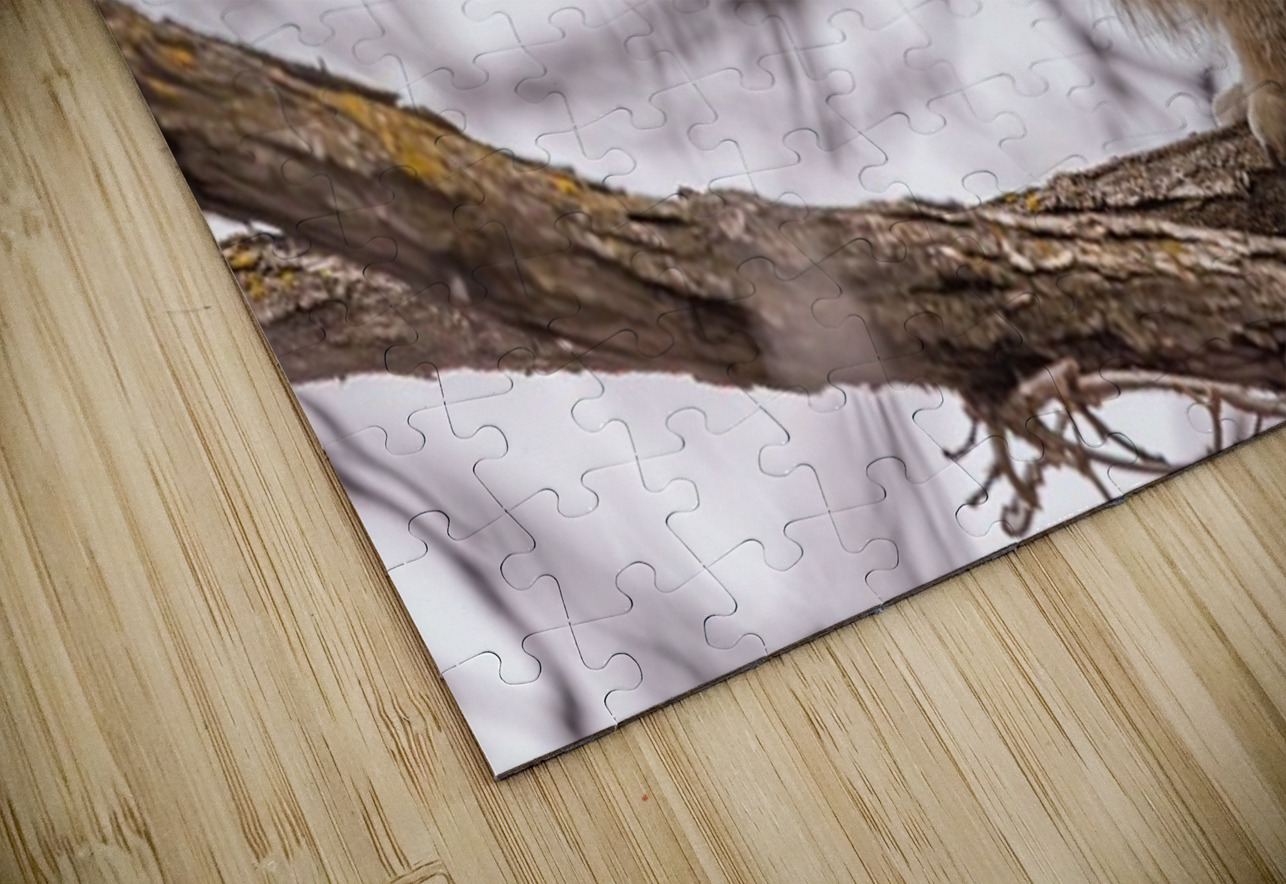 GHOwlet Ilana Vargulich Puzzle