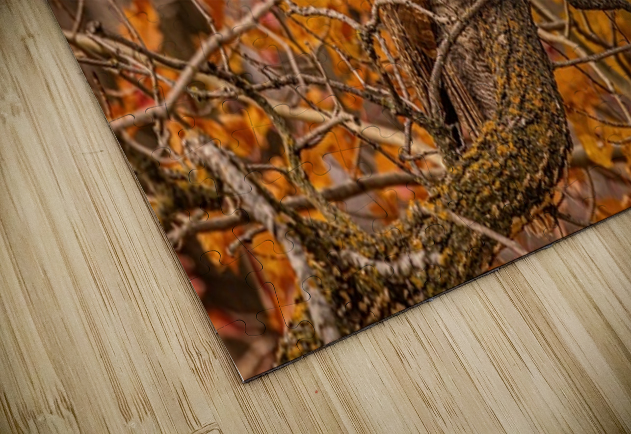 GGO 25 Ilana Vargulich Puzzle