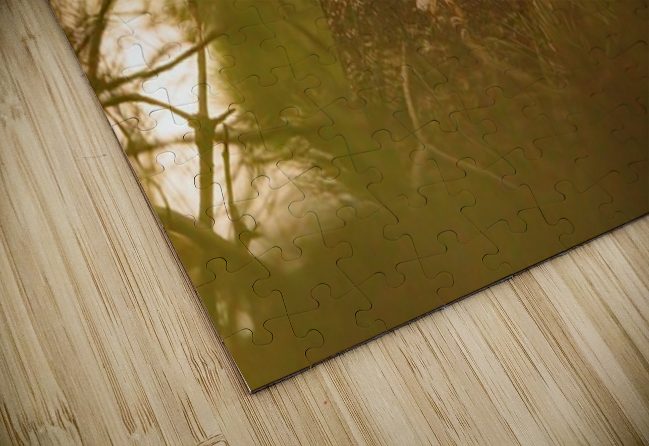 LEO 2 Ilana Vargulich Puzzle