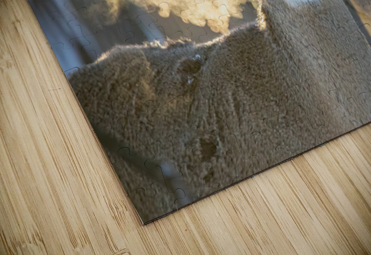 Young Buck Sunset Ilana Vargulich Puzzle