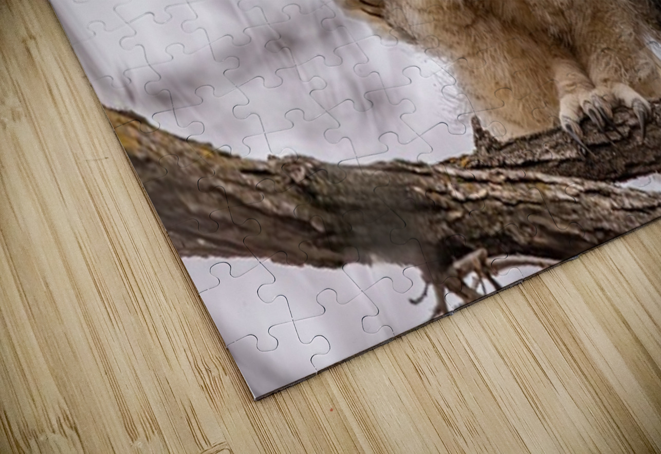 GHOwlet 2 Ilana Vargulich Puzzle