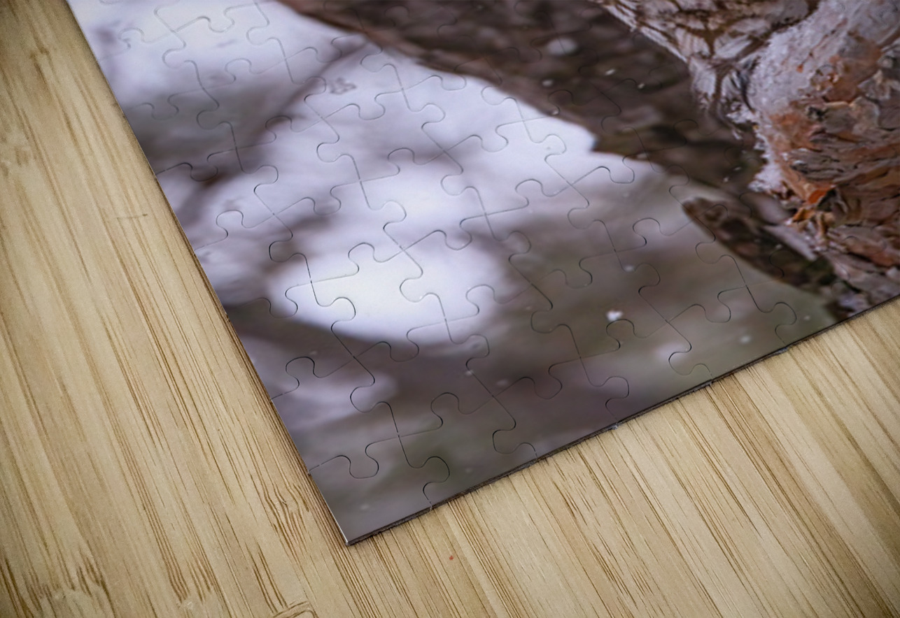 LEO 4 Ilana Vargulich Puzzle