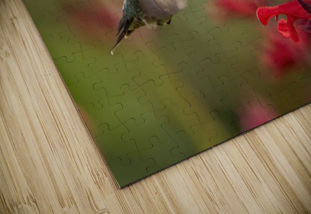 Hummer Ilana Vargulich Puzzle