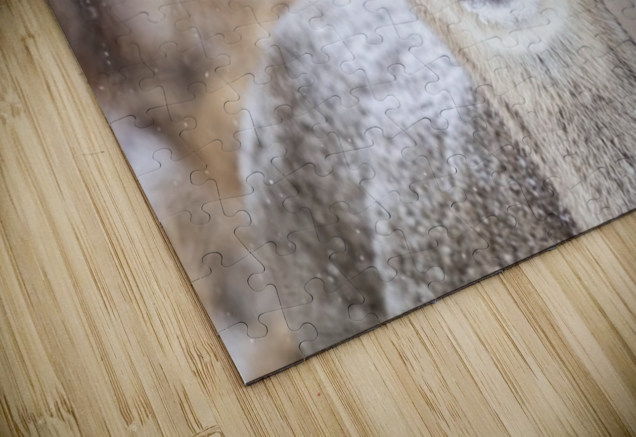 Cute Deer Ilana Vargulich Puzzle