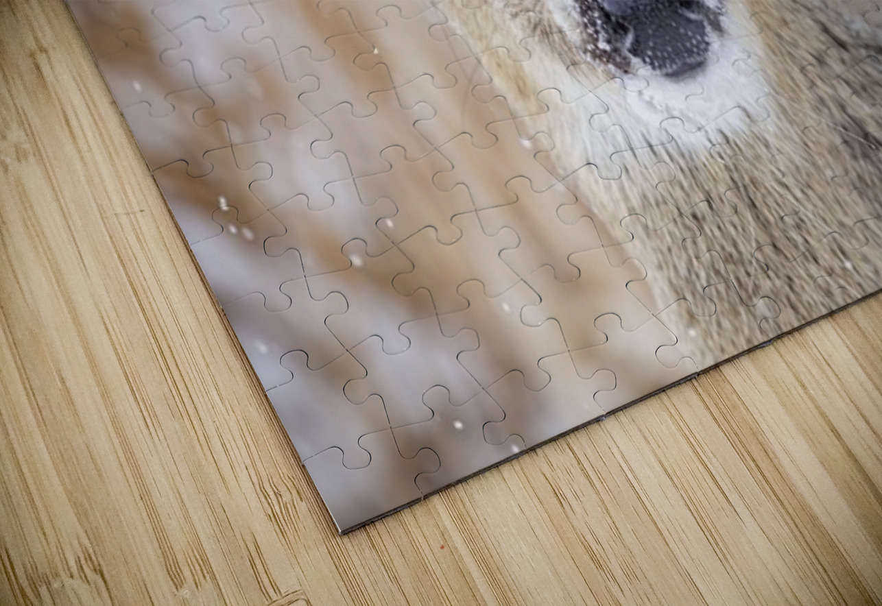 Cute Deer 2 Ilana Vargulich Puzzle