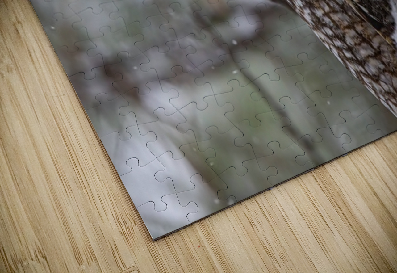 LEO 5 Ilana Vargulich Puzzle