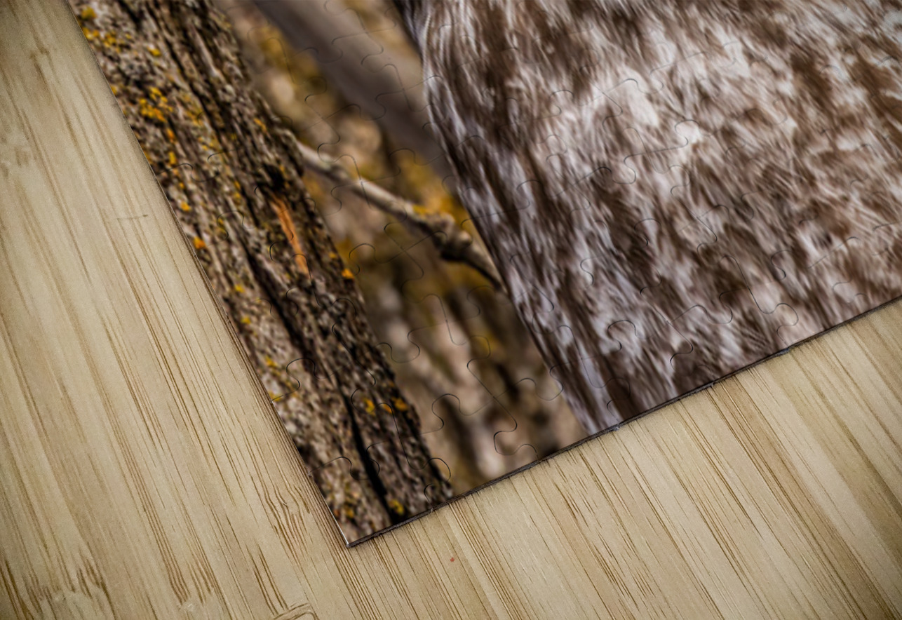 GGO 26 Ilana Vargulich Puzzle