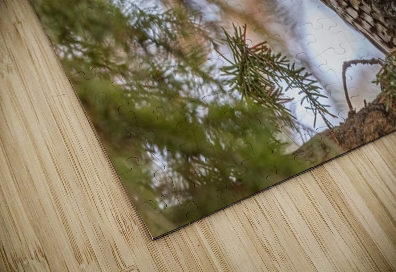 LEO 6 Ilana Vargulich Puzzle