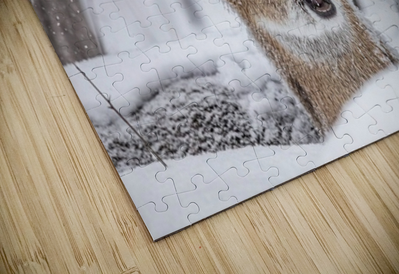 Funny Deer Ilana Vargulich Puzzle