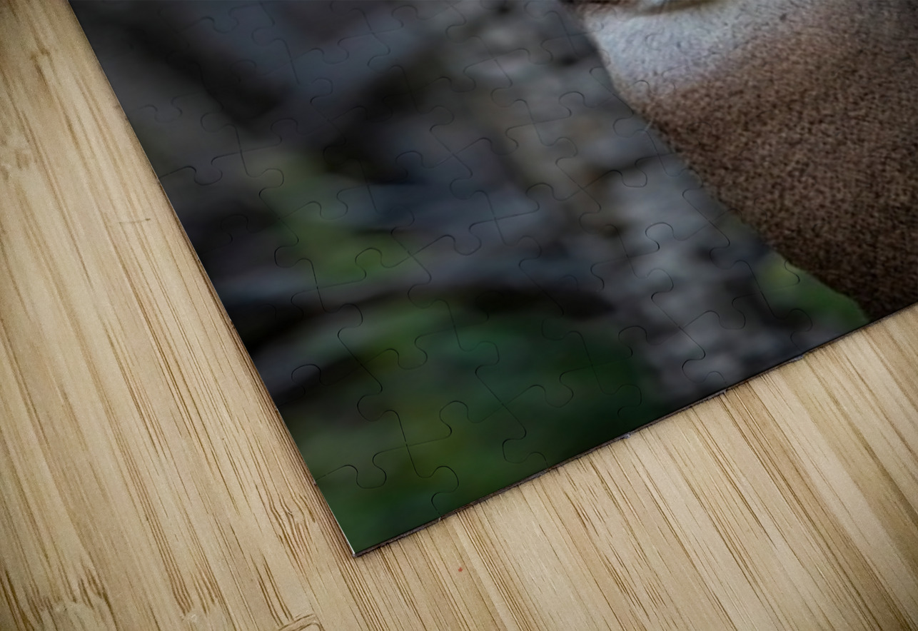 Big Buck 2 Ilana Vargulich Puzzle