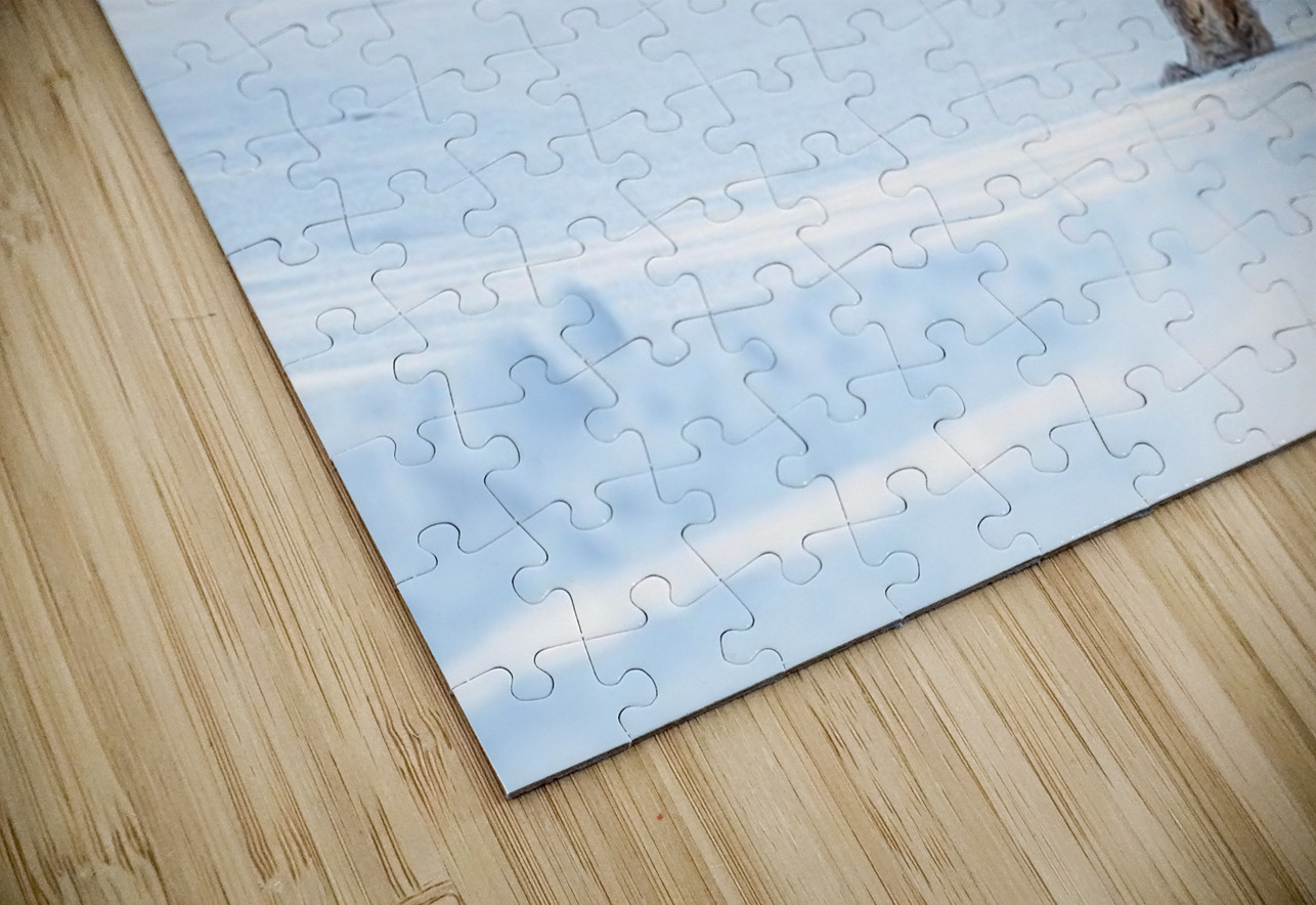 Lynx 2 Ilana Vargulich Puzzle