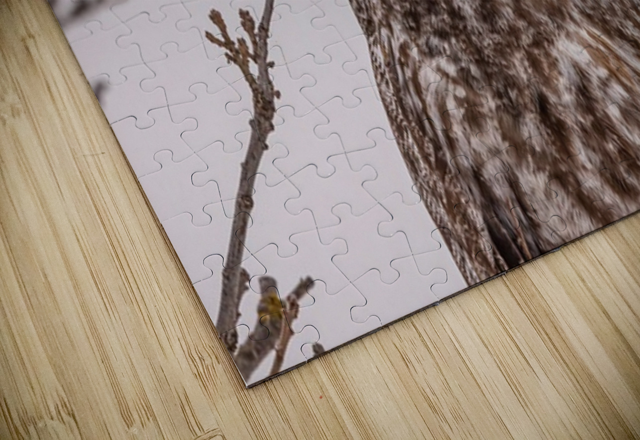 GGO 27 Ilana Vargulich Puzzle