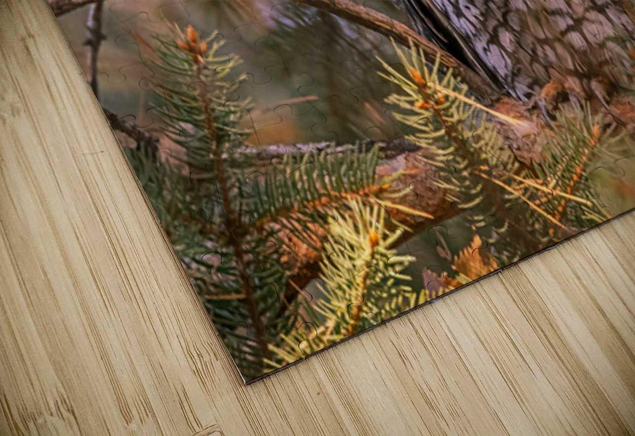 LEO 7 Ilana Vargulich Puzzle