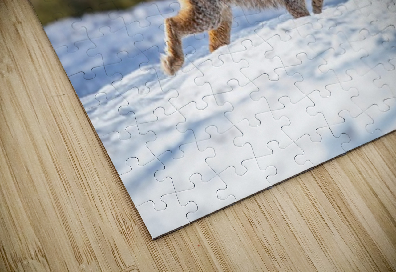 Lynx 3 Ilana Vargulich Puzzle