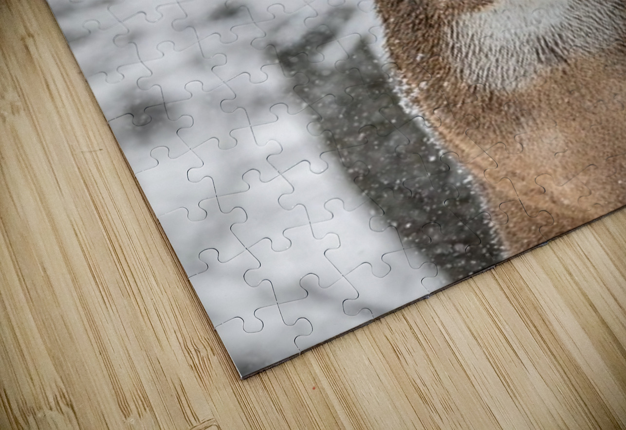 Big Buck Winter Ilana Vargulich Puzzle