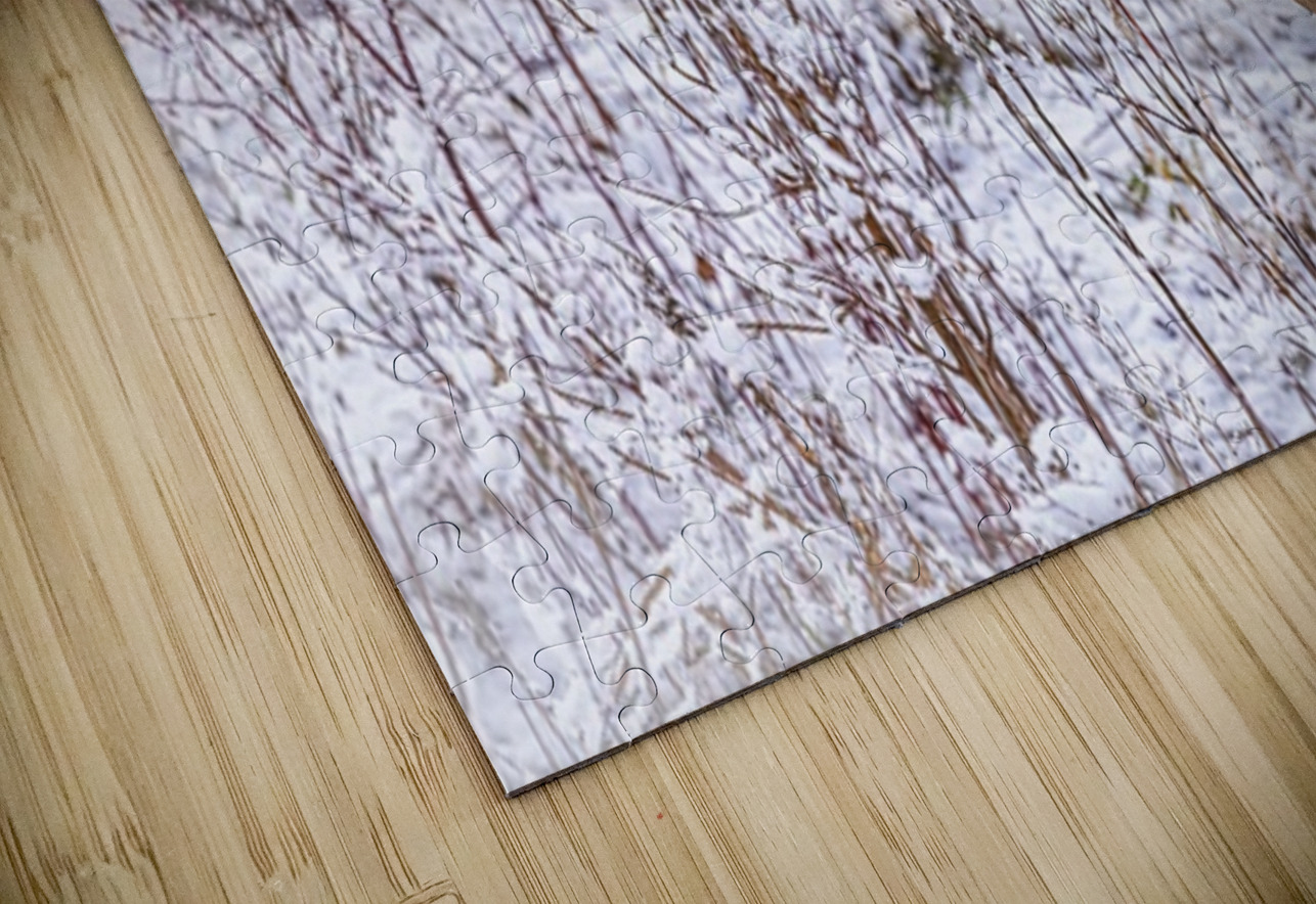 Buck Winter Day Ilana Vargulich Puzzle