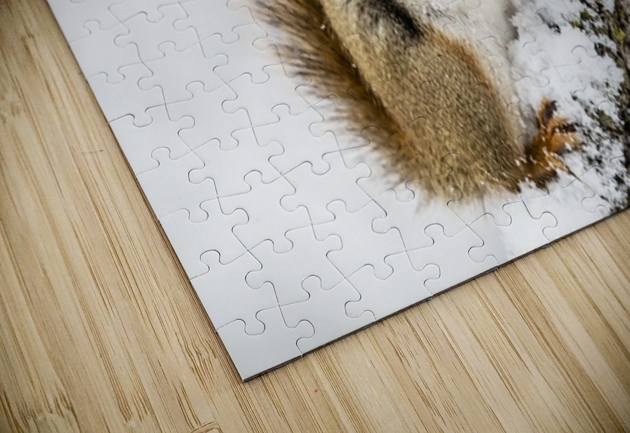 Red Squarel 2 Ilana Vargulich Puzzle