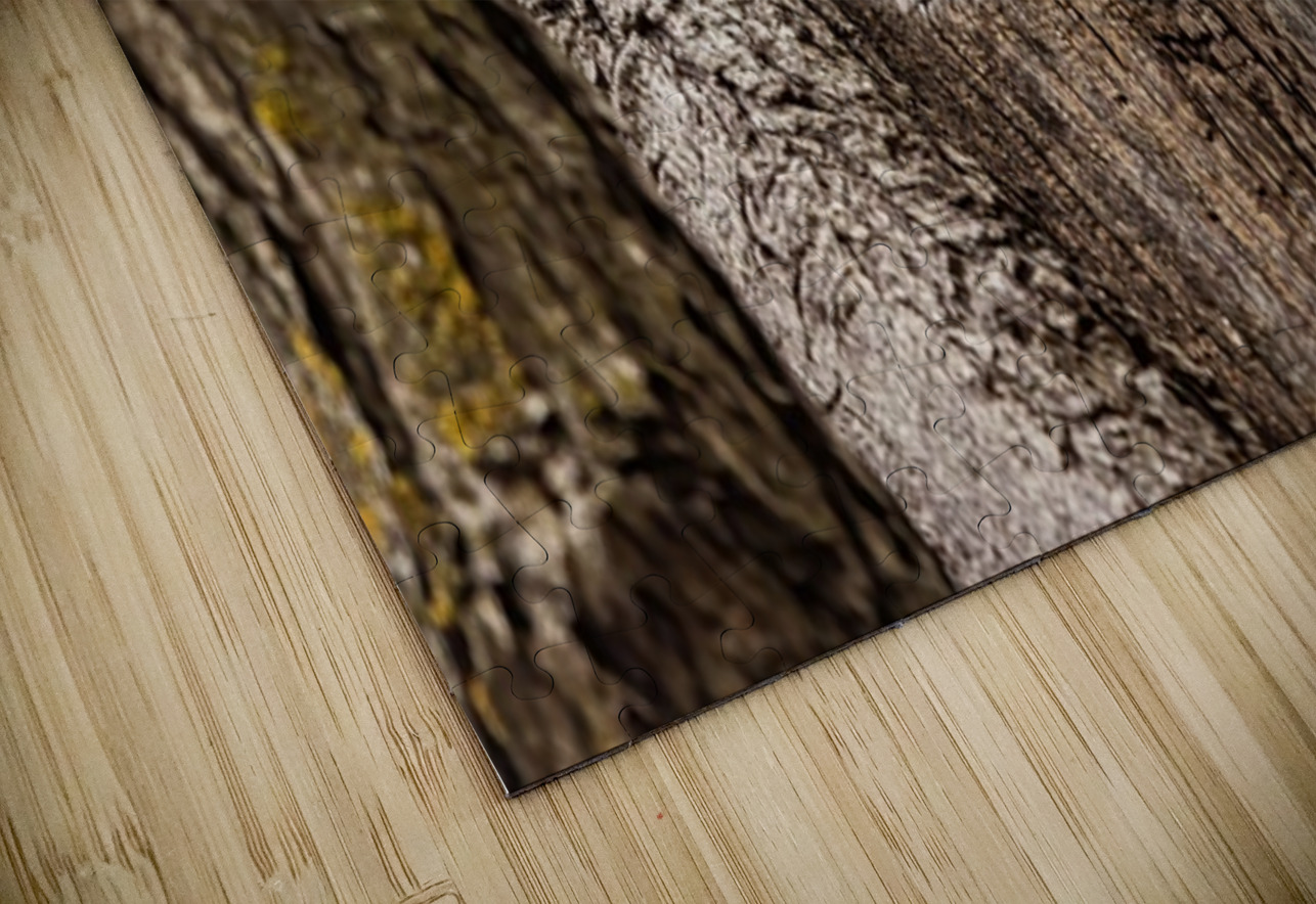 Screech Owl 4 Ilana Vargulich Puzzle