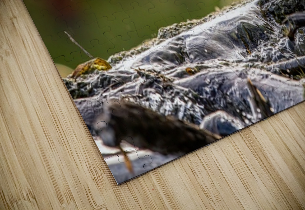 Green Heron Sunset Ilana Vargulich Puzzle