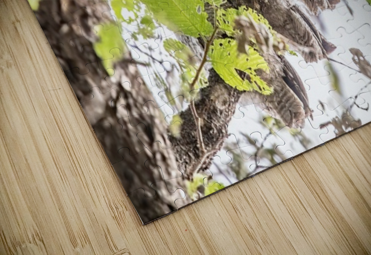 Screech 12 Eyes Ilana Vargulich Puzzle