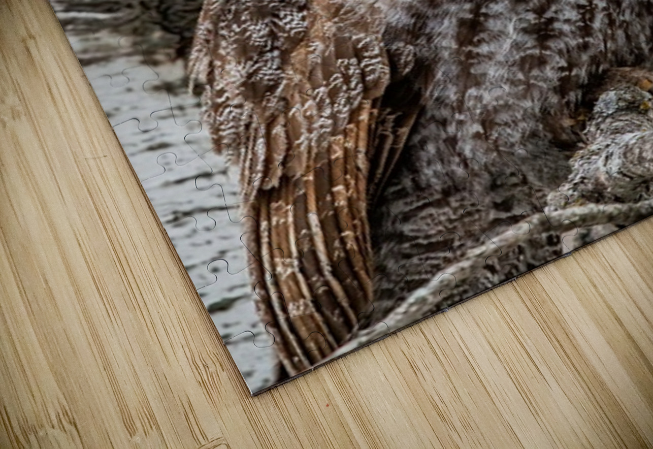 GGO 29 Ilana Vargulich Puzzle