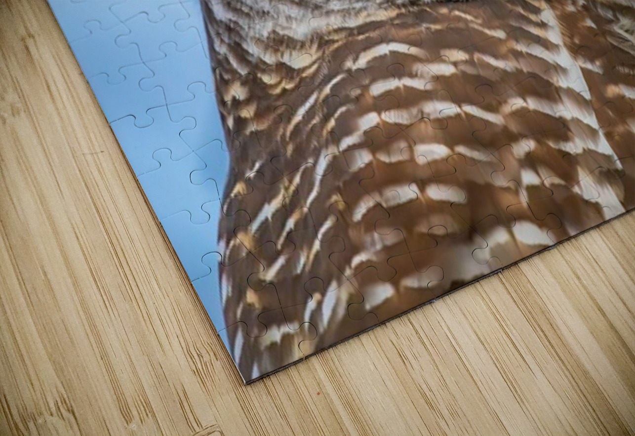 Barred Owl 3 Ilana Vargulich Puzzle