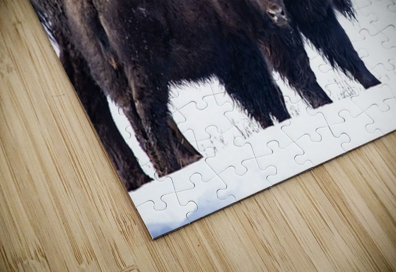 Bison Mom and Cub Ilana Vargulich Puzzle