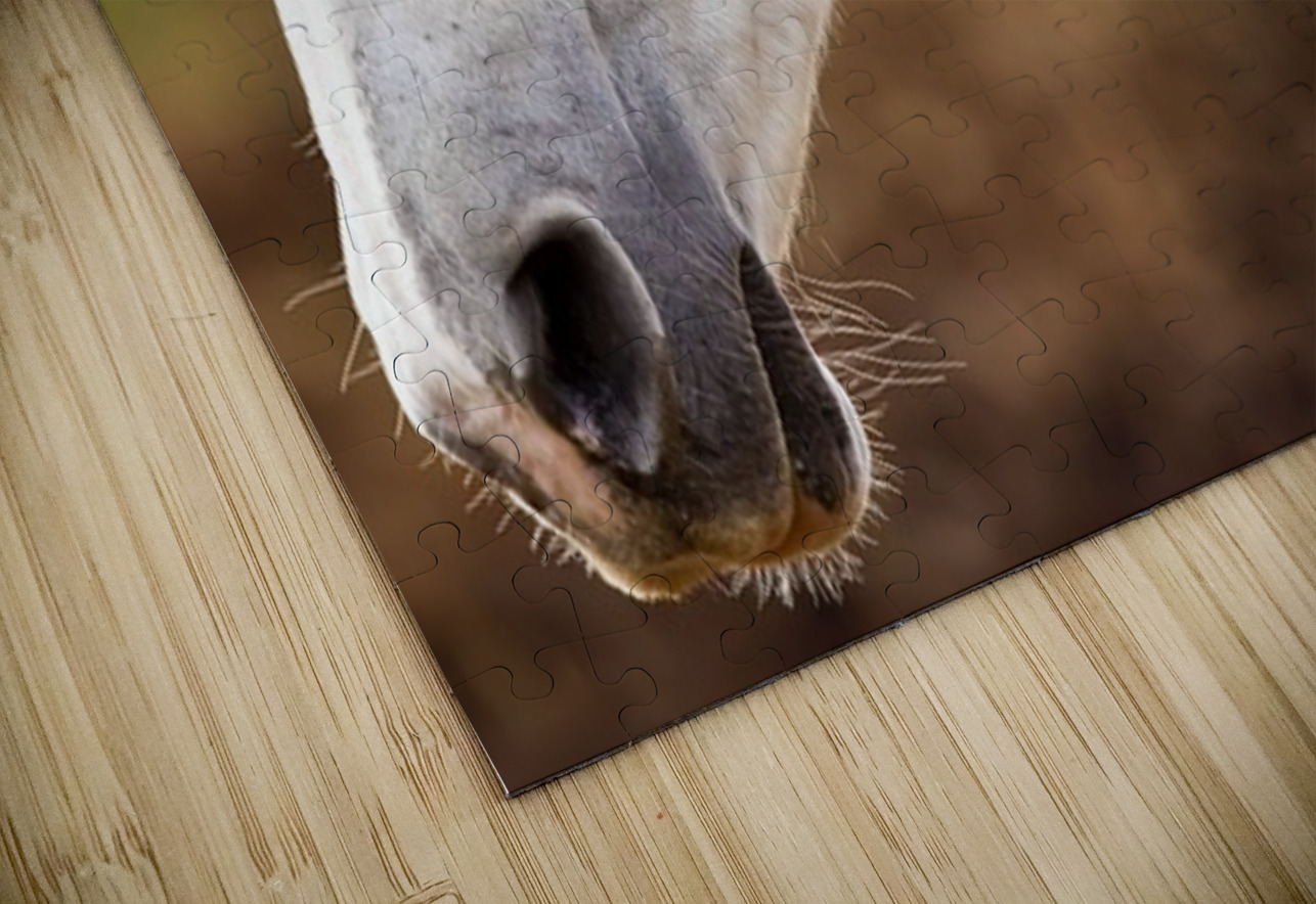 Horse Portrait 2 Ilana Vargulich Puzzle