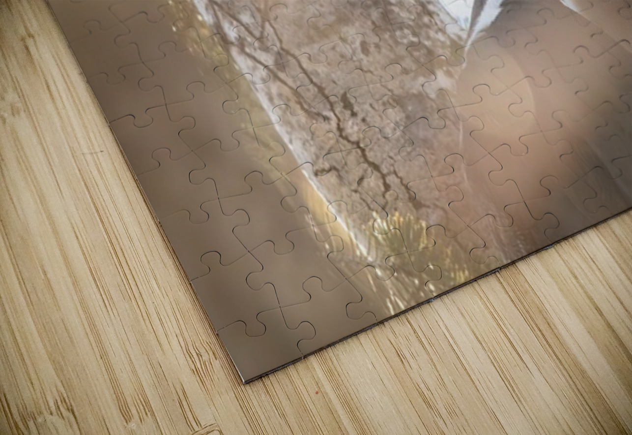 Pileated Woodpecker Ilana Vargulich Puzzle