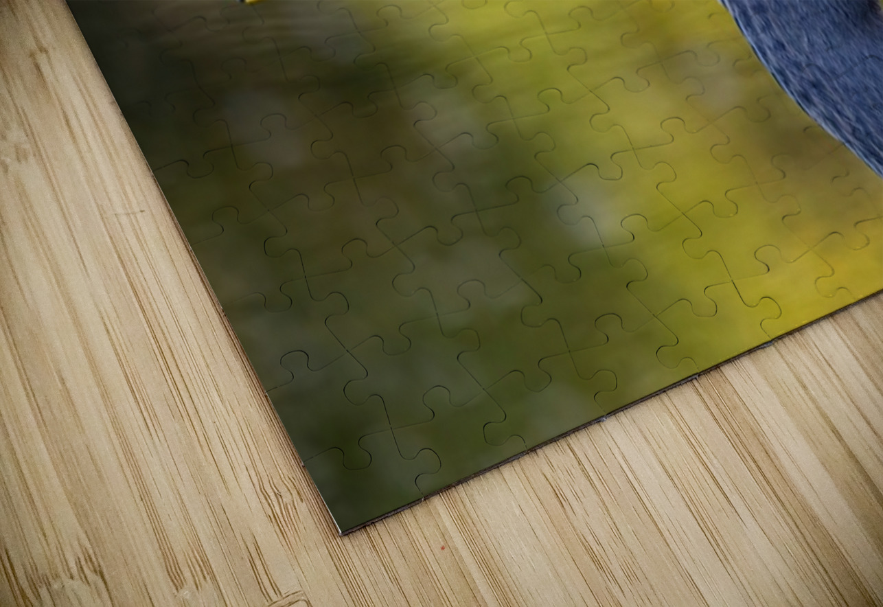 Blue Heron 4 Ilana Vargulich Puzzle