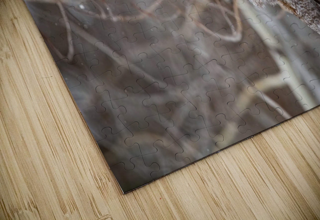 GGO 30 Ilana Vargulich Puzzle