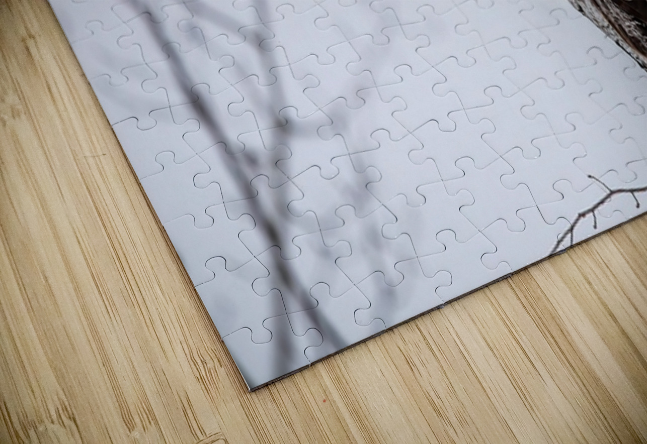 GGO 32 Ilana Vargulich Puzzle