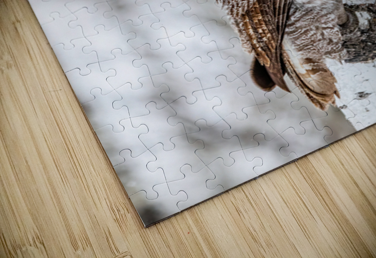 GGO 33 Ilana Vargulich Puzzle