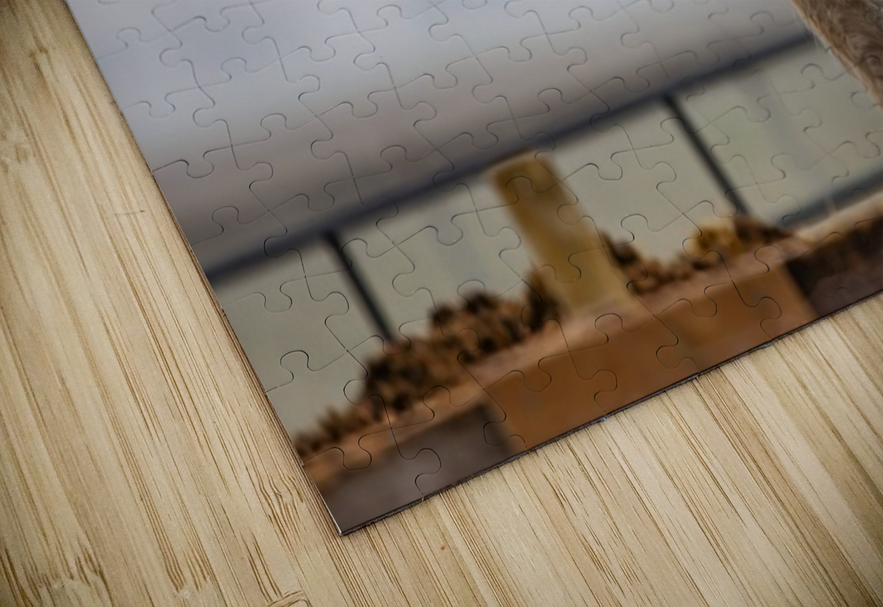 Horse Smile Ilana Vargulich Puzzle