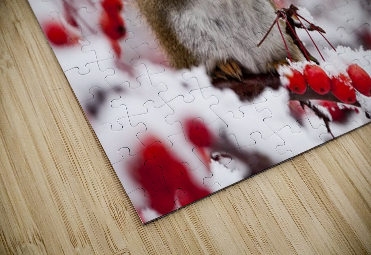 Red Squarel 3 Ilana Vargulich Puzzle