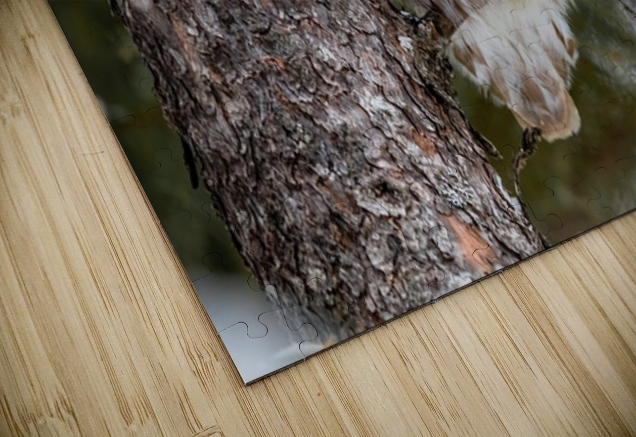 Boreal Owl 2 Ilana Vargulich Puzzle