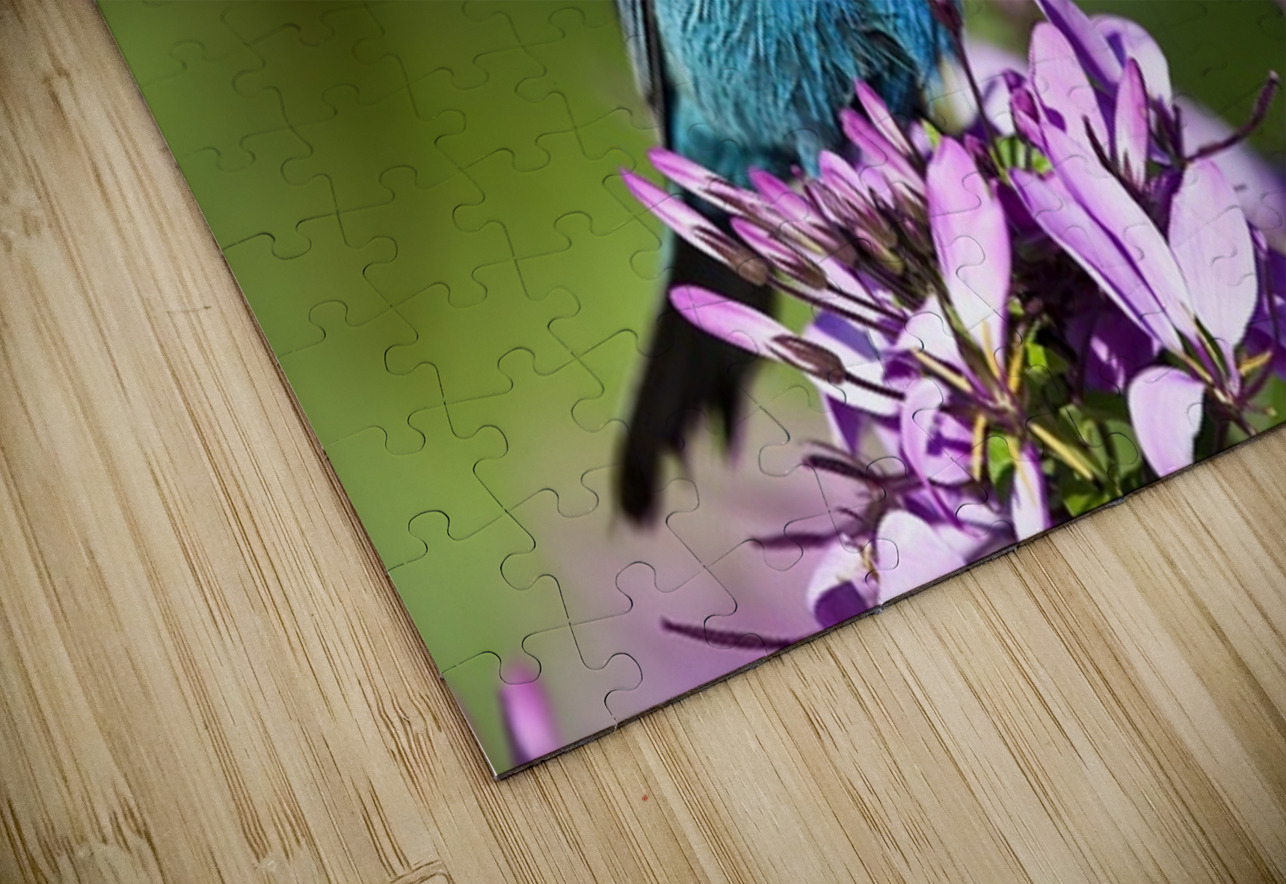 Indigo 2 Ilana Vargulich Puzzle