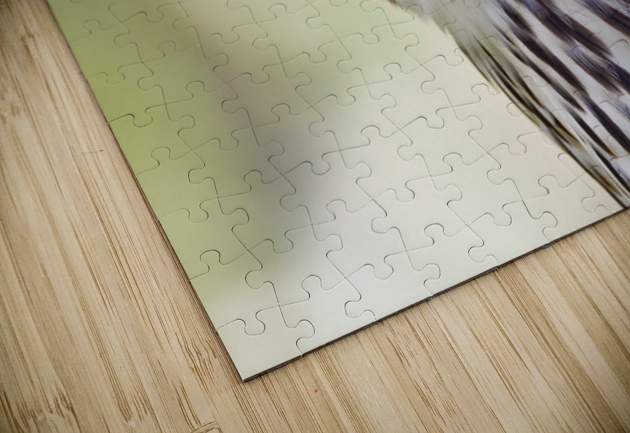 Coopers Hawk Ilana Vargulich Puzzle