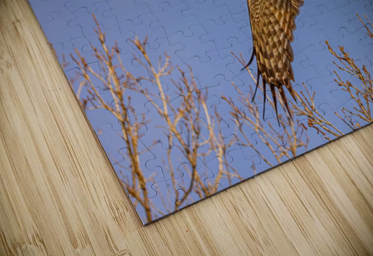 GGO 34 Ilana Vargulich Puzzle