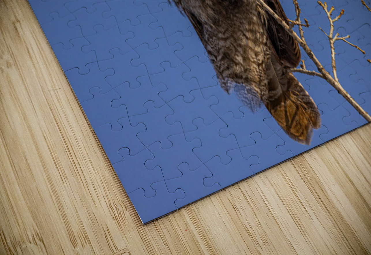 GGO 35 Ilana Vargulich Puzzle