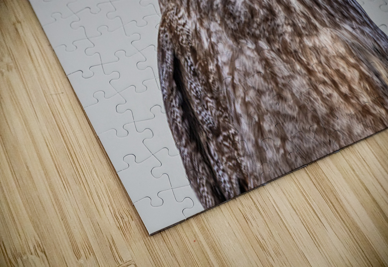 GGO 36 Ilana Vargulich Puzzle