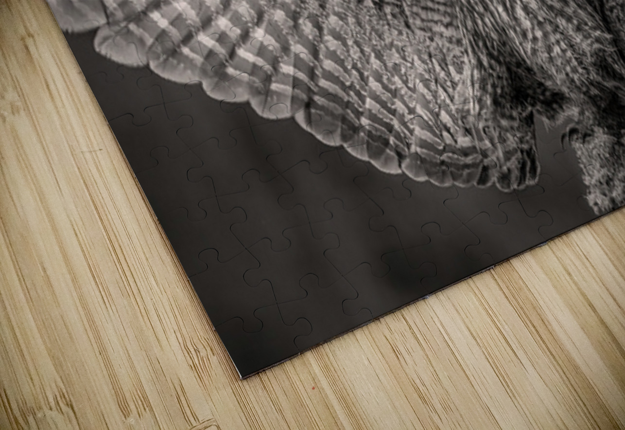 GGO 37 Ilana Vargulich Puzzle