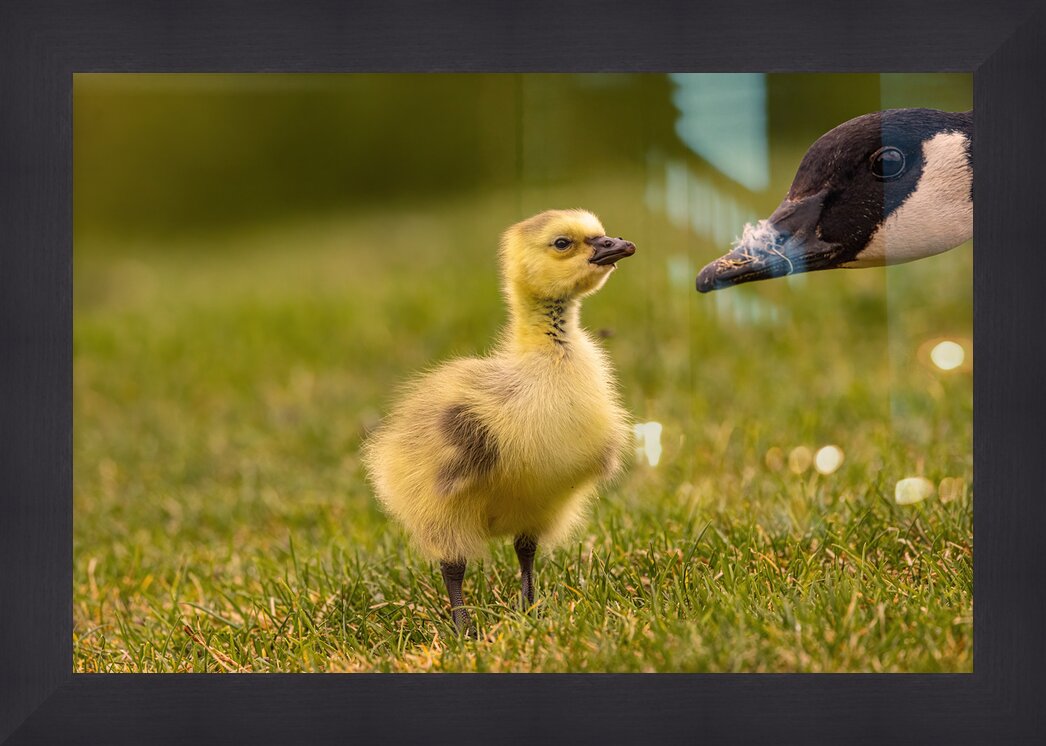 Impression de cadre personnalisé
