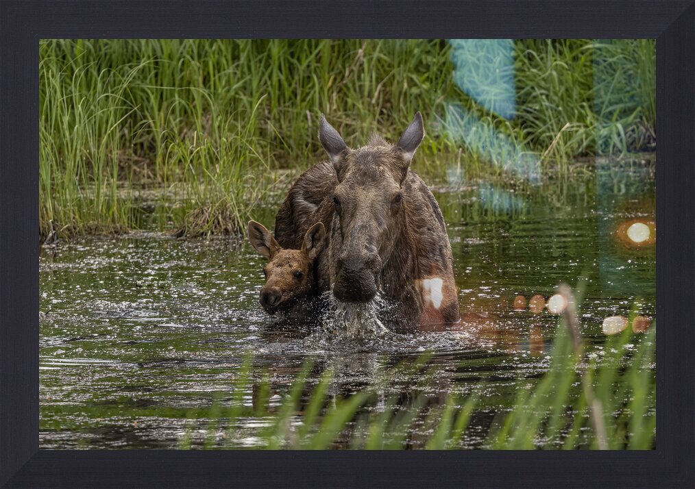 Impression de cadre personnalisé