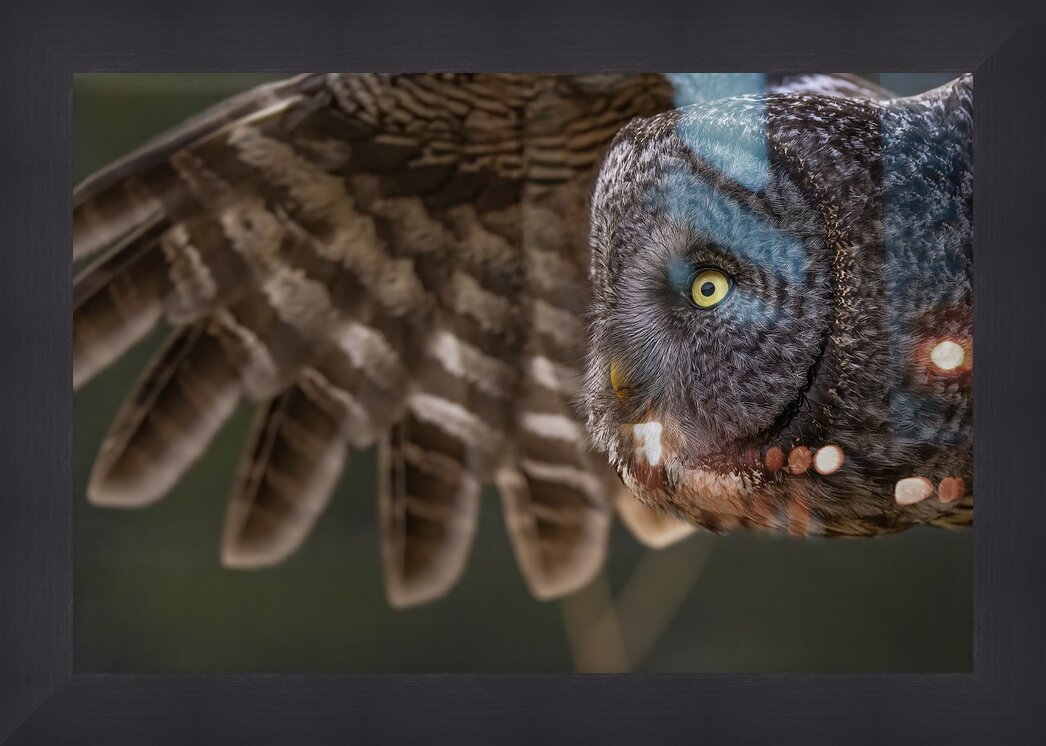 Impression de cadre personnalisé