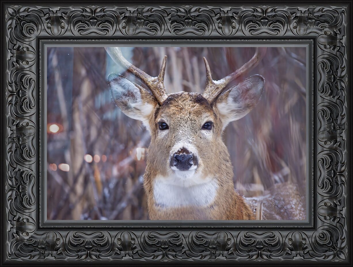 Impression de cadre personnalisé