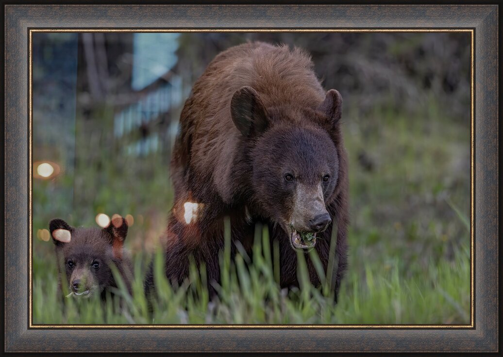 Impression de cadre personnalisé