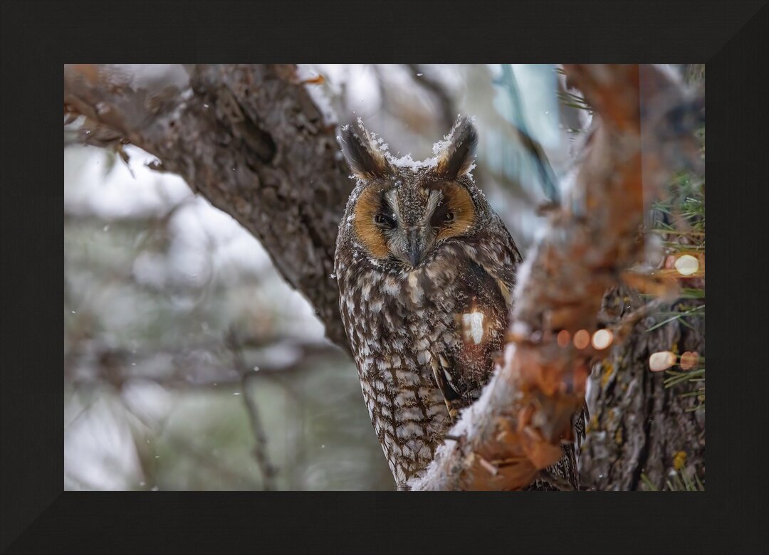 Impression de cadre personnalisé