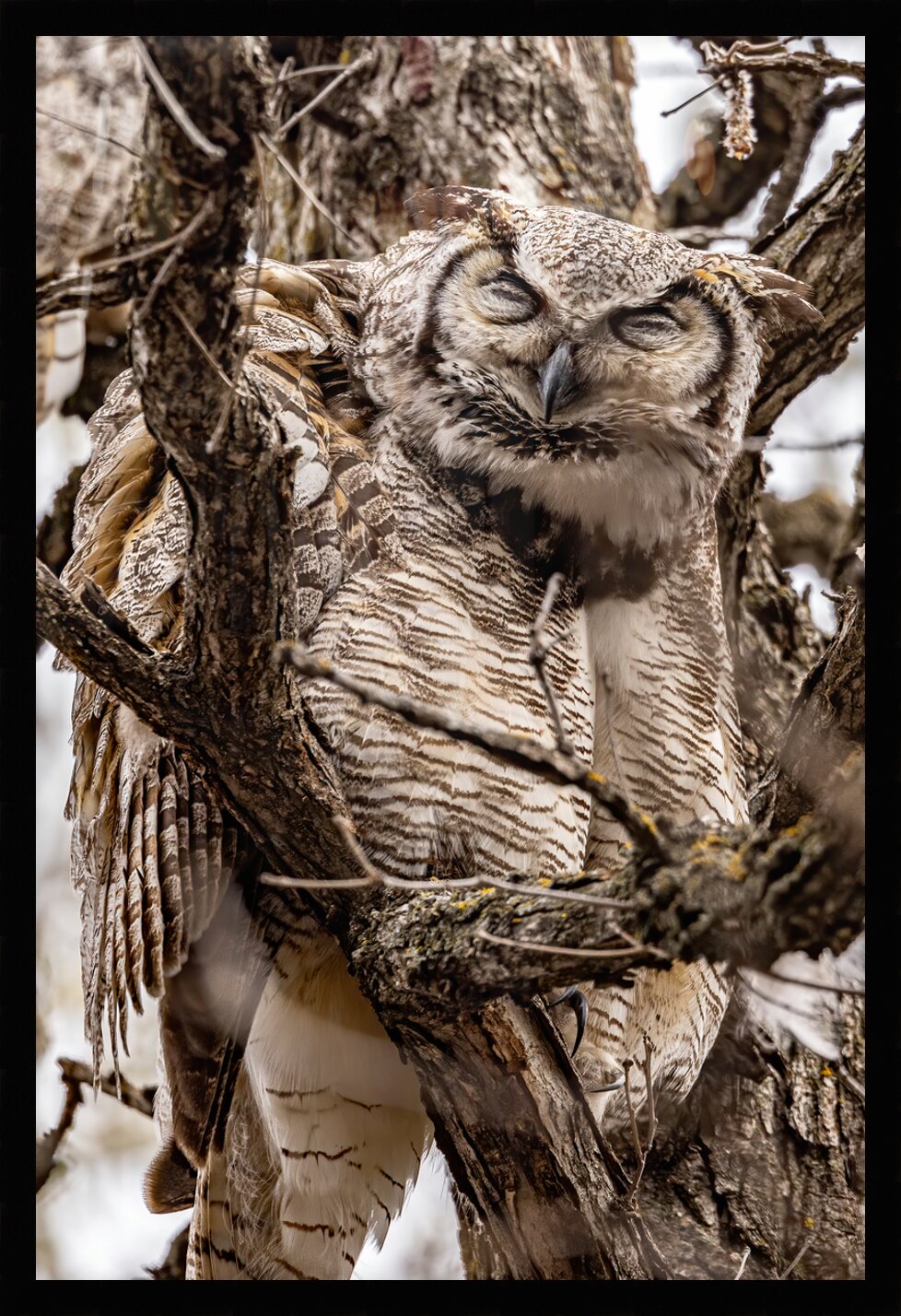Impression de cadre personnalisé